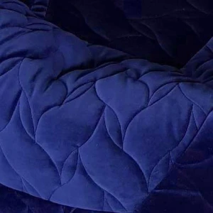 Veliūras Mėlyna (ROM) (300x300)