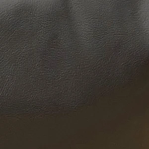Antracitas (E.O.L. 1981) (300x300)